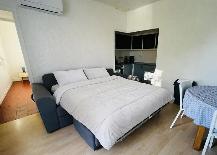 Apartamento Argelès-sur-mer T2 Rénové à Deux Pas De La - Fr-1-309-446 Argelès-sur-Mer